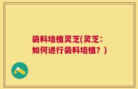 袋料培植灵芝(灵芝：如何进行袋料培植？)