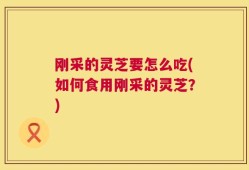 刚采的灵芝要怎么吃(如何食用刚采的灵芝？)