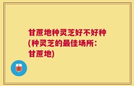 甘蔗地种灵芝好不好种(种灵芝的最佳场所：甘蔗地)