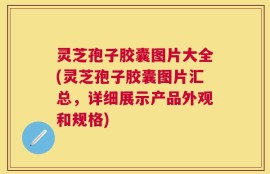 灵芝孢子胶囊图片大全(灵芝孢子胶囊图片汇总，详细展示产品外观和规格)