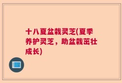十八夏盆栽灵芝(夏季养护灵芝，助盆栽茁壮成长)