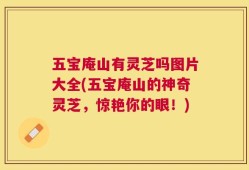 五宝庵山有灵芝吗图片大全(五宝庵山的神奇灵芝，惊艳你的眼！)