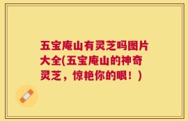 五宝庵山有灵芝吗图片大全(五宝庵山的神奇灵芝，惊艳你的眼！)