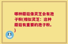 哪种蘑菇像灵芝会有孢子粉(相似灵芝：这种蘑菇有重要的孢子粉。)