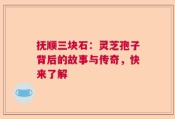 抚顺三块石：灵芝孢子背后的故事与传奇，快来了解