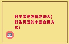 野生灵芝怎样吃法大(野生灵芝的丰富食用方式)