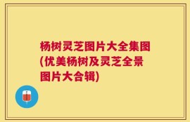 杨树灵芝图片大全集图(优美杨树及灵芝全景图片大合辑)