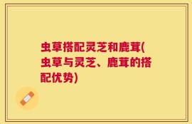 虫草搭配灵芝和鹿茸(虫草与灵芝、鹿茸的搭配优势)