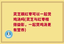 灵芝跟红枣可以一起煲鸡汤吗(灵芝与红枣相得益彰，一起煲鸡汤更有营养)
