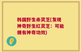韩国野生赤灵芝(发现神奇野生红灵芝：可能拥有神奇功效)