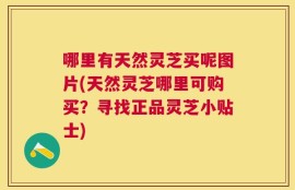 哪里有天然灵芝买呢图片(天然灵芝哪里可购买？寻找正品灵芝小贴士)