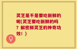 灵芝是不是要吃新鲜的呢(灵芝要吃新鲜的吗？解密鲜灵芝的神奇功效！)
