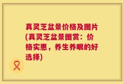 真灵芝盆景价格及图片(真灵芝盆景图赏：价格实惠，养生养眼的好选择)