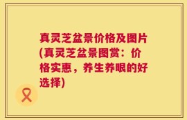 真灵芝盆景价格及图片(真灵芝盆景图赏：价格实惠，养生养眼的好选择)