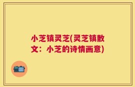 小芝镇灵芝(灵芝镇散文：小芝的诗情画意)
