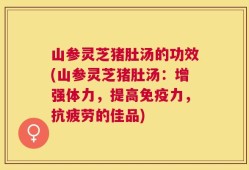 山参灵芝猪肚汤的功效(山参灵芝猪肚汤：增强体力，提高免疫力，抗疲劳的佳品)
