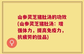 山参灵芝猪肚汤的功效(山参灵芝猪肚汤：增强体力，提高免疫力，抗疲劳的佳品)