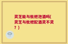 灵芝能与枇杷泡酒吗(灵芝与枇杷配酒灵不灵？)