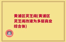 黄浦区灵芝阁(黄浦区灵芝阁改建为多层商业综合体)