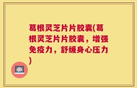 葛根灵芝片片胶囊(葛根灵芝片片胶囊，增强免疫力，舒缓身心压力)