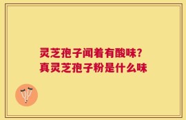 灵芝孢子闻着有酸味？真灵芝孢子粉是什么味