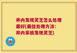 井内发现灵芝怎么处理最好(最佳处理方法：井内采摘发现灵芝)