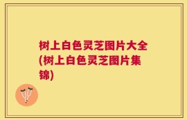 树上白色灵芝图片大全(树上白色灵芝图片集锦)