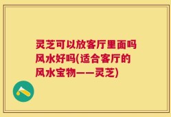 灵芝可以放客厅里面吗风水好吗(适合客厅的风水宝物——灵芝)