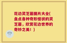 花边灵芝菌图片大全(盘点各种奇形怪状的灵芝菌，欣赏花边世界的奇妙之美！)