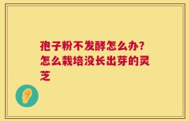 孢子粉不发酵怎么办？怎么栽培没长出芽的灵芝