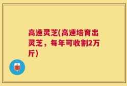 高速灵芝(高速培育出灵芝，每年可收割2万斤)