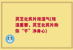 灵芝北芪片祛湿气(祛湿重要，灵芝北芪片助你“干”净身心)