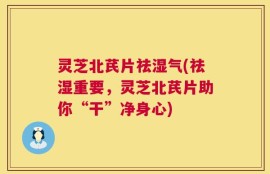 灵芝北芪片祛湿气(祛湿重要，灵芝北芪片助你“干”净身心)