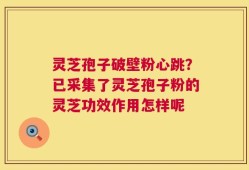 灵芝孢子破壁粉心跳？已采集了灵芝孢子粉的灵芝功效作用怎样呢