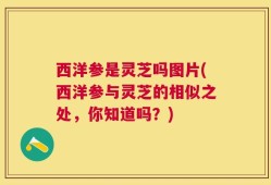 西洋参是灵芝吗图片(西洋参与灵芝的相似之处，你知道吗？)