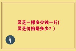 灵芝一棵多少钱一斤(灵芝价格是多少？)