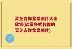 灵芝吉祥盆景图片大全欣赏(欣赏各式各样的灵芝吉祥盆景图片)
