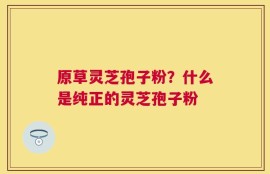 原草灵芝孢子粉？什么是纯正的灵芝孢子粉