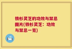 铁杉灵芝的功效与禁忌图片(铁杉灵芝：功效与禁忌一览)