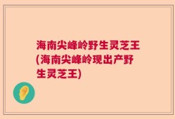 海南尖峰岭野生灵芝王(海南尖峰岭现出产野生灵芝王)
