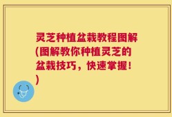 灵芝种植盆栽教程图解(图解教你种植灵芝的盆栽技巧，快速掌握！)