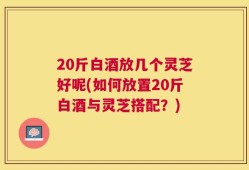20斤白酒放几个灵芝好呢(如何放置20斤白酒与灵芝搭配？)