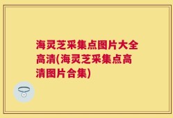 海灵芝采集点图片大全高清(海灵芝采集点高清图片合集)