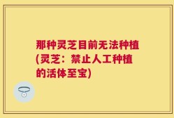 那种灵芝目前无法种植(灵芝：禁止人工种植的活体至宝)