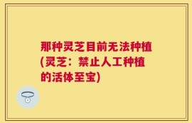 那种灵芝目前无法种植(灵芝：禁止人工种植的活体至宝)