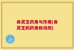 赤灵芝药用与作用(赤灵芝的药用和功效)
