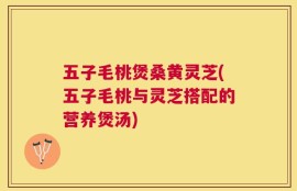 五子毛桃煲桑黄灵芝(五子毛桃与灵芝搭配的营养煲汤)