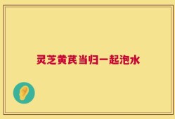 灵芝黄芪当归一起泡水