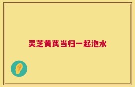 灵芝黄芪当归一起泡水