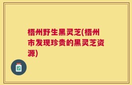 梧州野生黑灵芝(梧州市发现珍贵的黑灵芝资源)